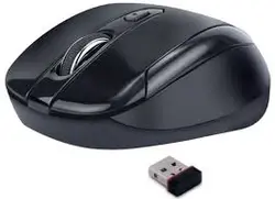 i ball Wireless Optical Mouse