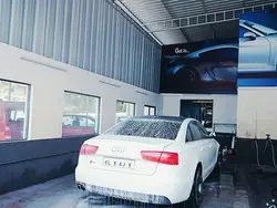 Detailed Wash