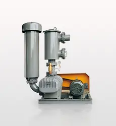 Twin Lobe Roots Blower