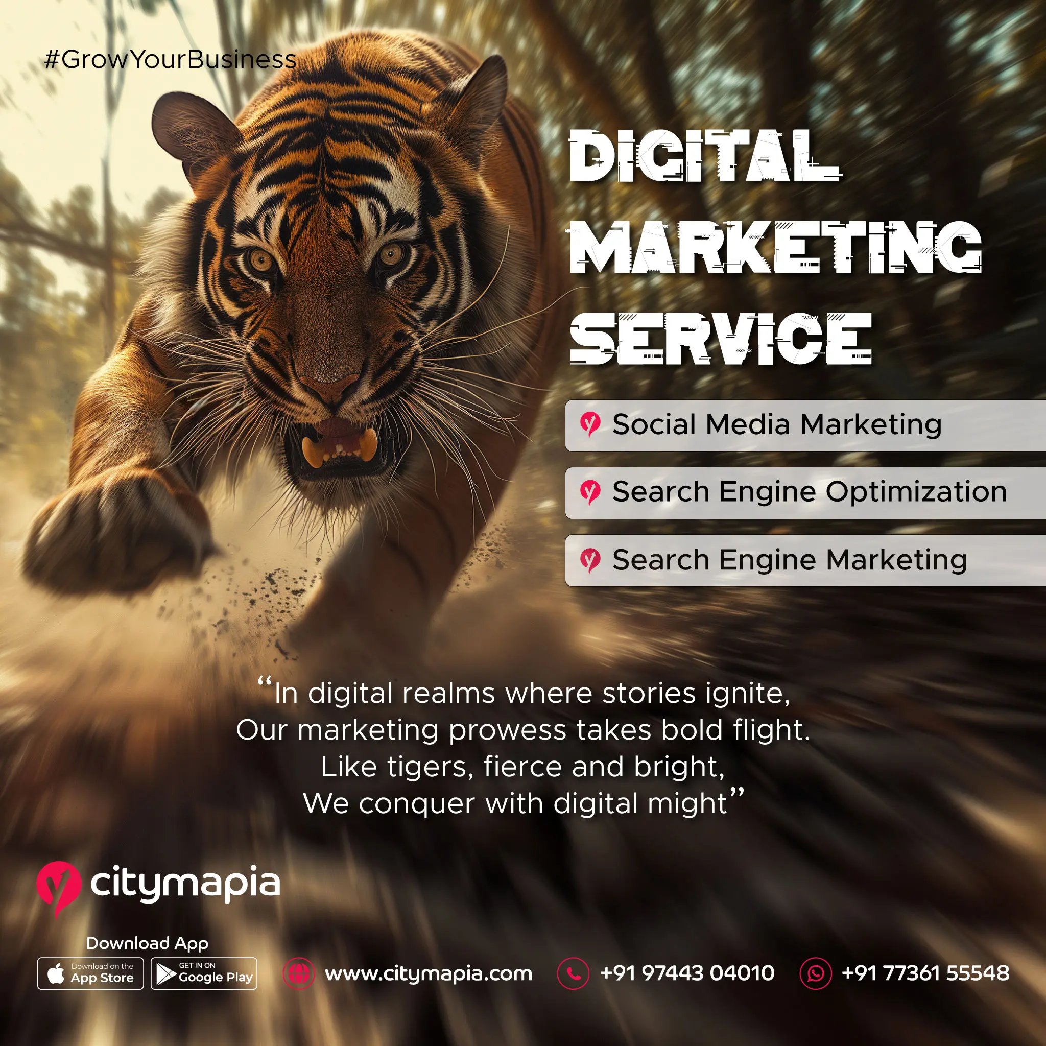 Conquering the Digital Jungle: The Prowess of Our Marketing Tigers 