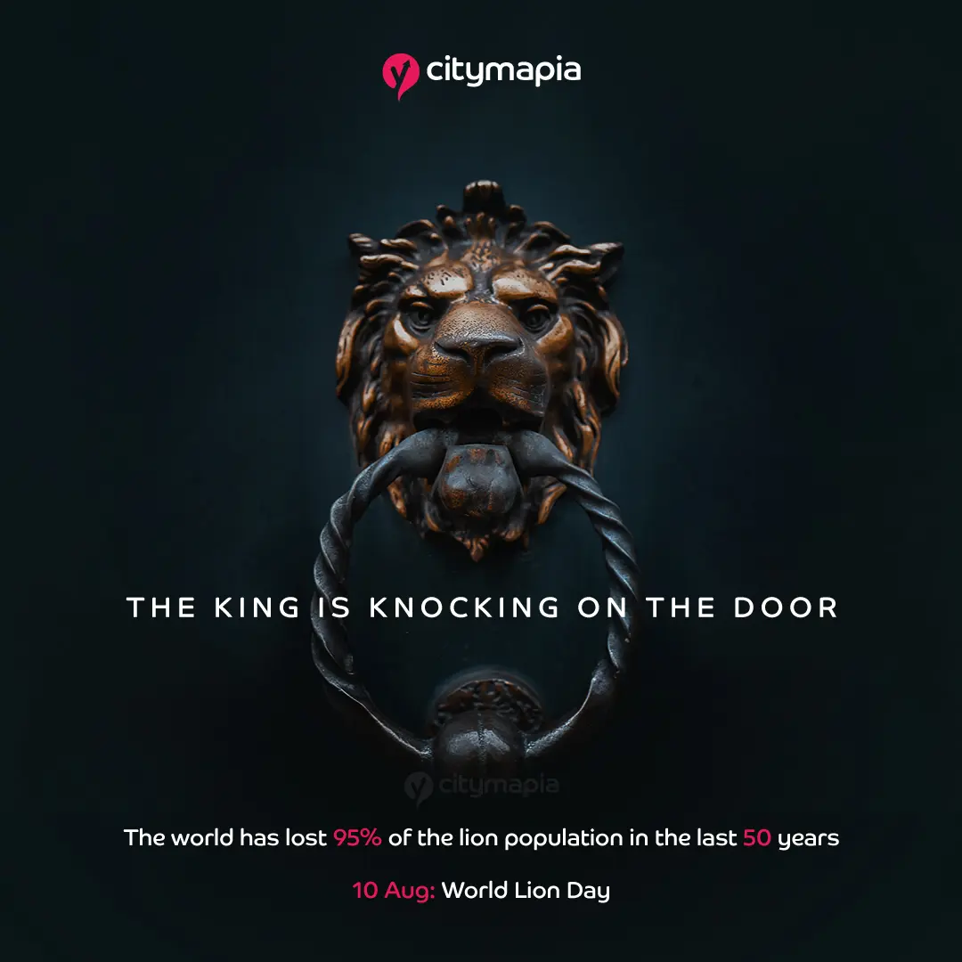  World Lion Day 2022