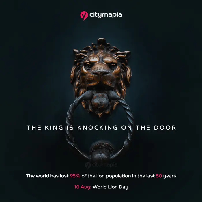  World Lion Day 2022