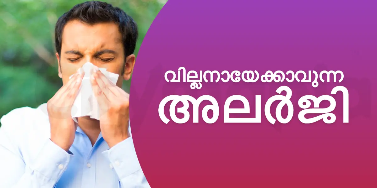 വില്ലനായേക്കാവുന്ന അലർജി