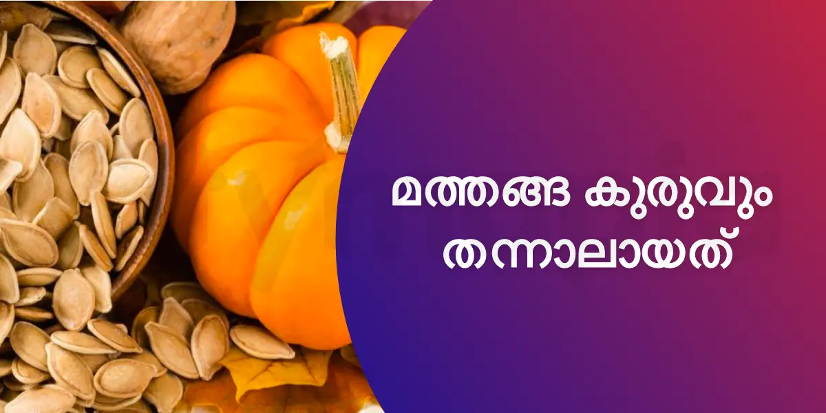 മത്തങ്ങ കുരുവും തന്നാലായത്
