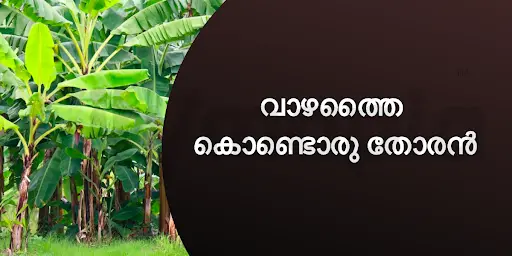 വാഴത്തൈ കൊണ്ടൊരു തോരൻ