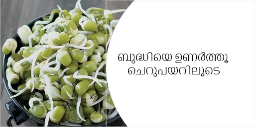ബുദ്ധിയെ ഉണർത്തൂ ചെറുപയറിലൂടെ 