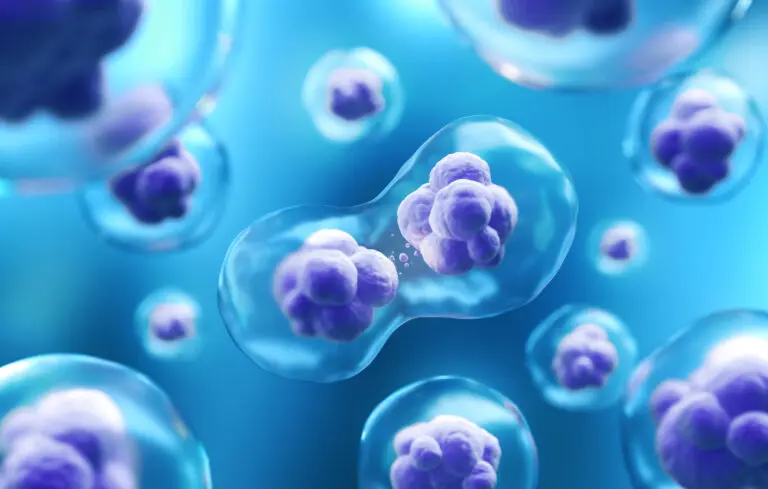 Can Mesenchymal Stem Cells Restore Sexual Function?