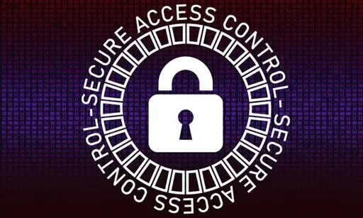 Advanced Exploitation Techniques in IoT Devices