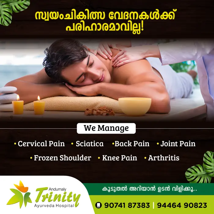 Ayurvedic Medicines for Body Pains: Back Pain, Joint Pain, Knee Pain, Cervical Pain, Arthritis