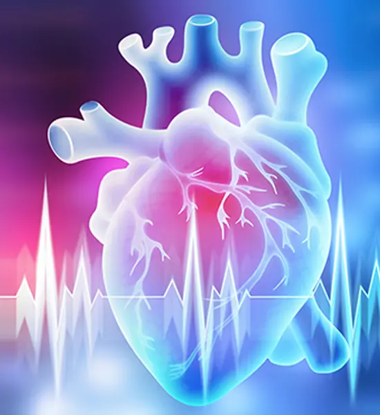 Cardiology