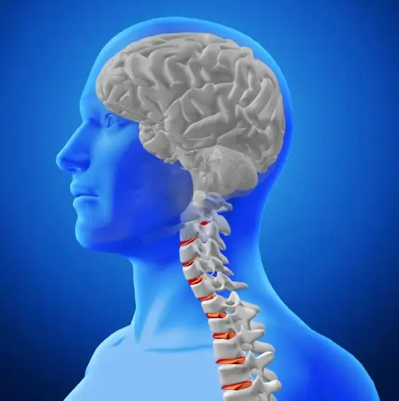Ayurvedic Treatment for Neurological Disorder