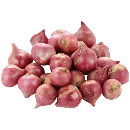 ഉള്ളി 