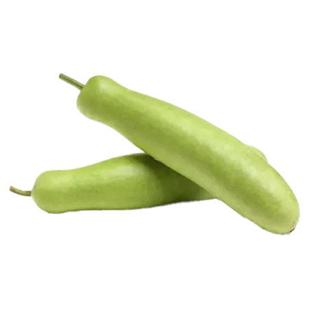 ചുരയ്ക്ക 