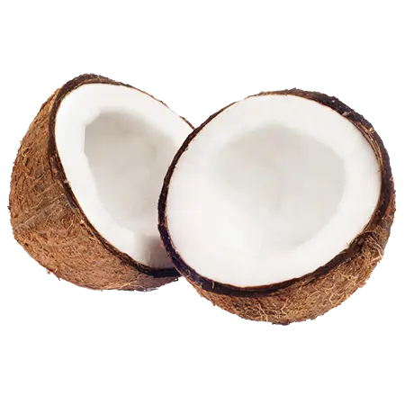 തേങ്ങ 