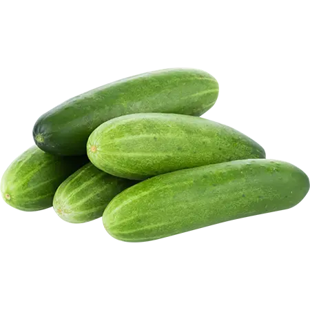 കുക്കുമ്പർ 