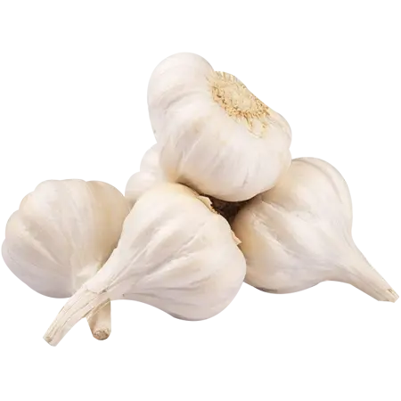 വെളുത്തുള്ളി 