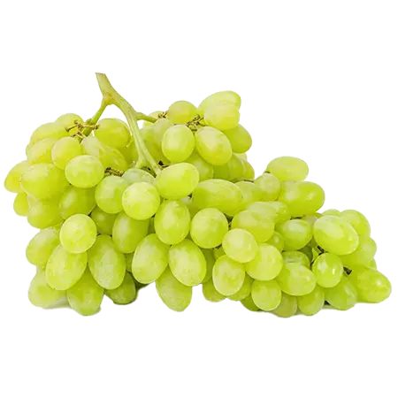 പച്ചമുന്തിരി 