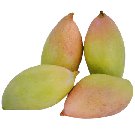 പച്ചമാങ്ങ 