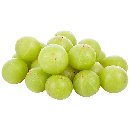 നെല്ലിക്ക 