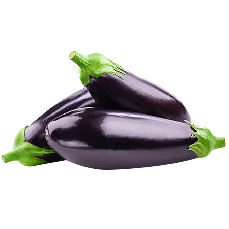  വഴുതനങ്ങ 