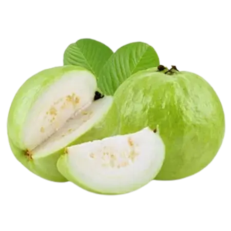 പേരയ്ക്ക 