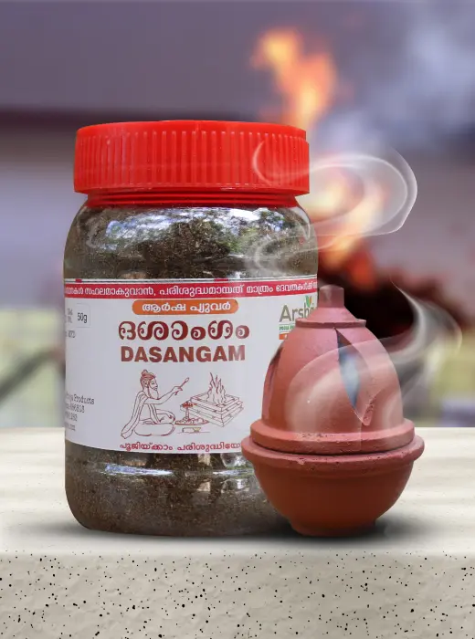 DASANGAM DHOOP POWDER