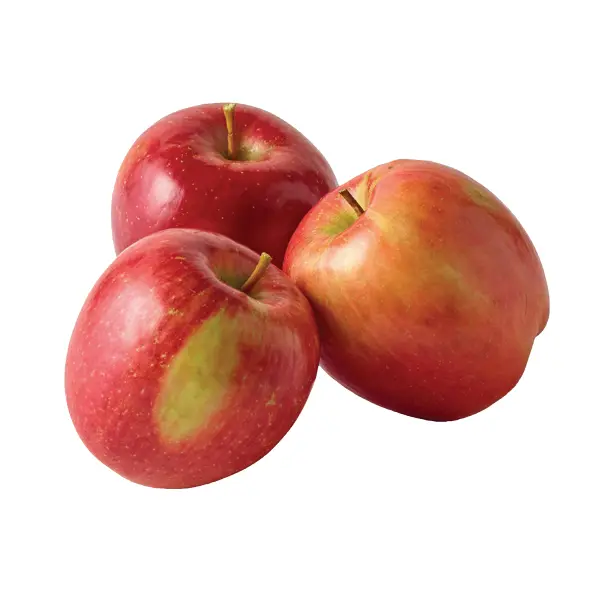 APPLE FUJI