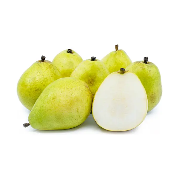 PEARS COSIA-ERCOLINI