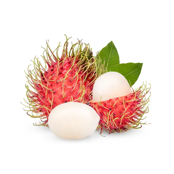 RAMBUTAN