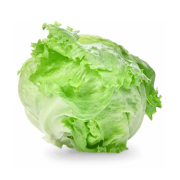 LETTUCE ICEBERG