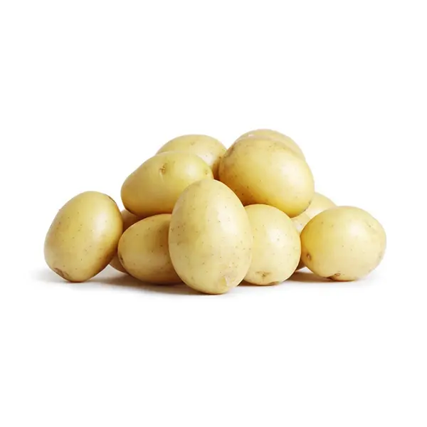 WHITE POTATO