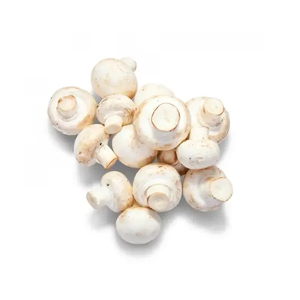 MUSHROOM