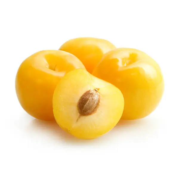 برقوق أصفر
