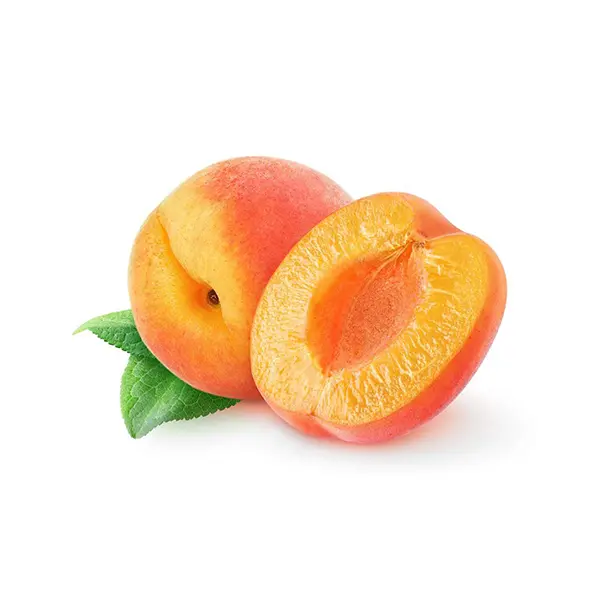 مشمش