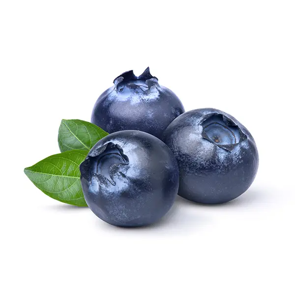 التوت