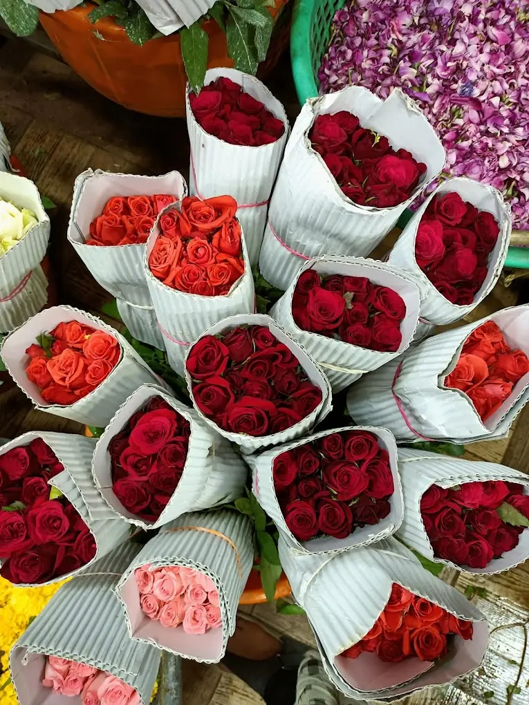 Roses