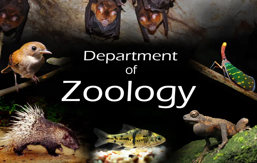 Zoology