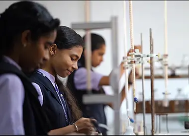 Senior Secondary Section (Classes XI and XII)