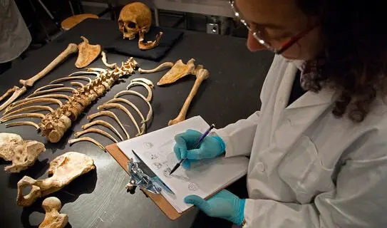 Forensic Medicine