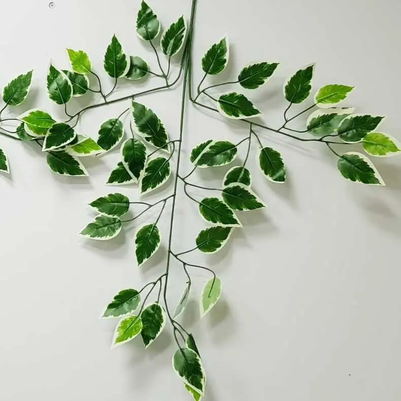 Artificial Leaves
