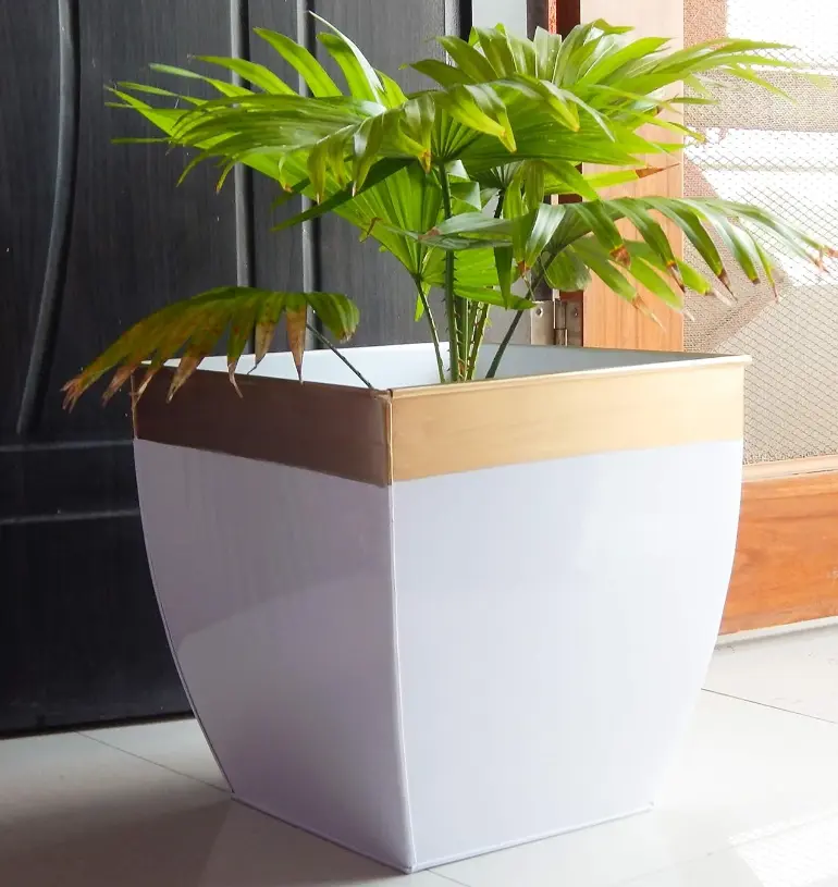 Indoor Pots