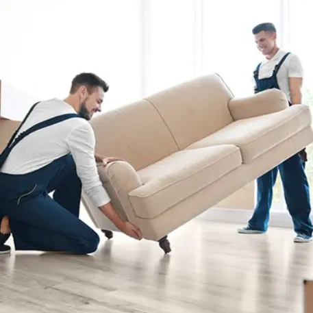 Furniture Removalists