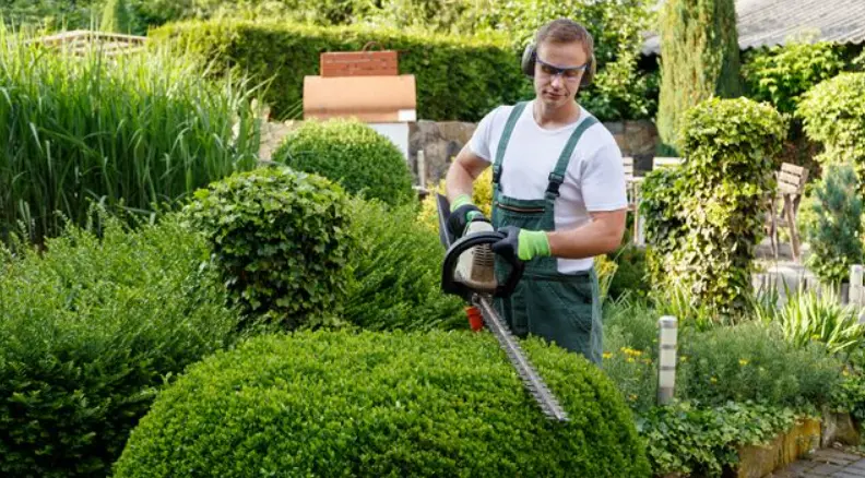 Gardening Services