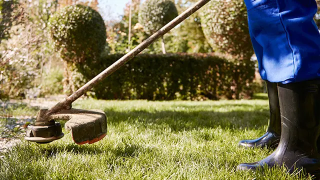 Grass Slashing