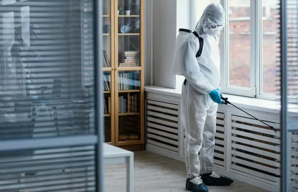 Termite Treatment