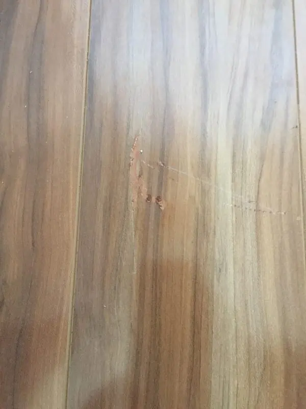 Timber Flooring Repairs