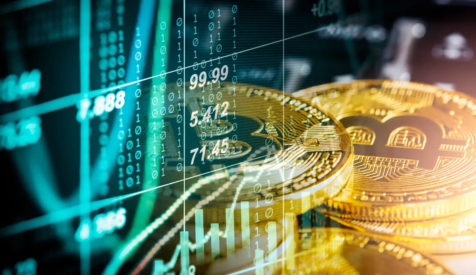 Crypto Halving Course