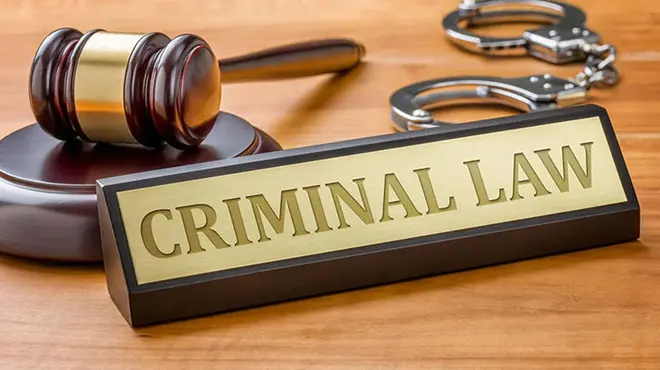 Criminal Lawyer