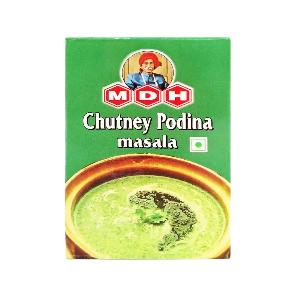 MDH Pudina Chutney Masala 100g
