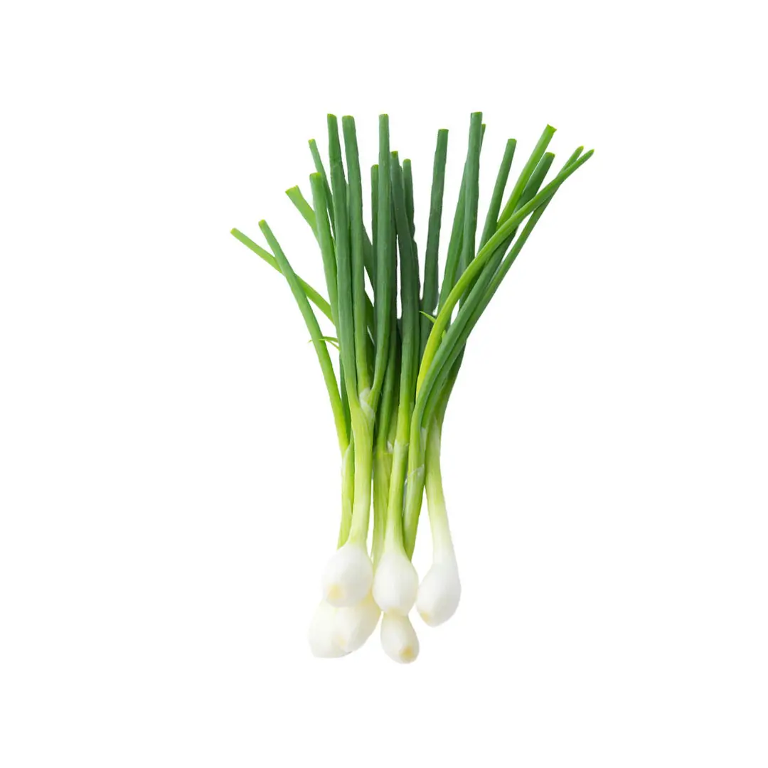 Spring Onion